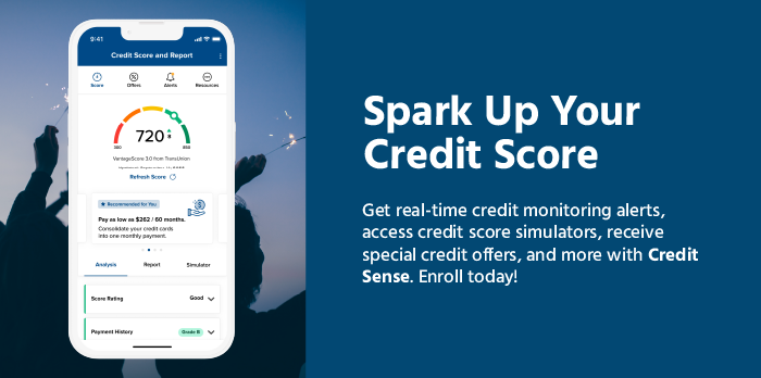 Credit Sense Web Banner